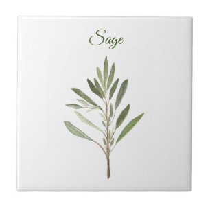 Sage Herb Greenery Kitchen Culinary Green Rustic C Tile