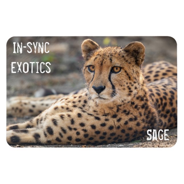 Sage - magnet (Horizontal)