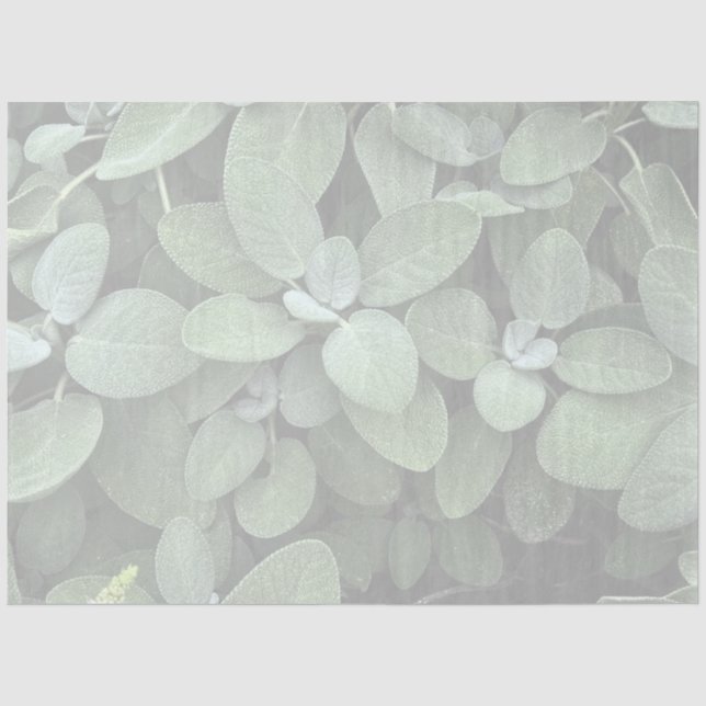 Sage Tissue Paper, Decoupage, Botanical Greenery Paper (Front)