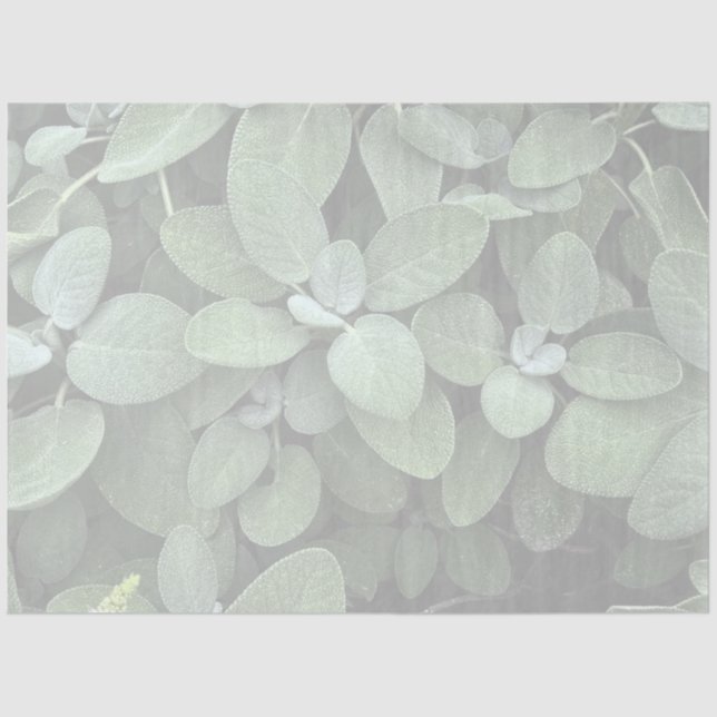 Sage Tissue Paper, Decoupage, Botanical Greenery Tissue Paper (Front)