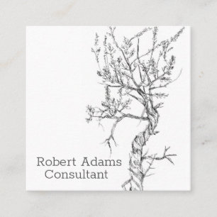 Sagebrush Plant Pen and Ink Black White Botanical Square Business Card