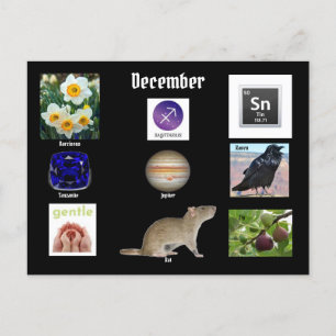 Sagittarius  December Birth Month  POSTCARD
