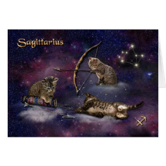 Sagittarius for Cat Lovers