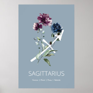 Sagittarius Wall Art Print