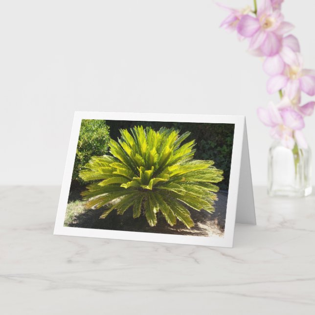 Sago Palm Plant Card (Orchid)