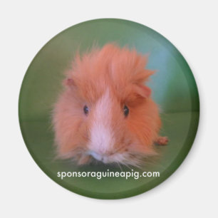 SAGP Magnet