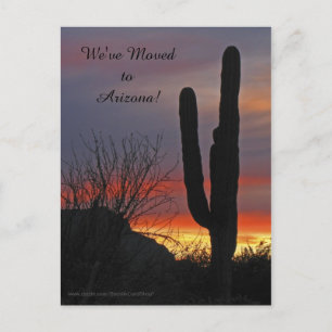 Saguaro at Sunset, New Address Announcement Postcard