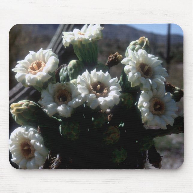 Saguaro Blossoms Mousepad (Front)