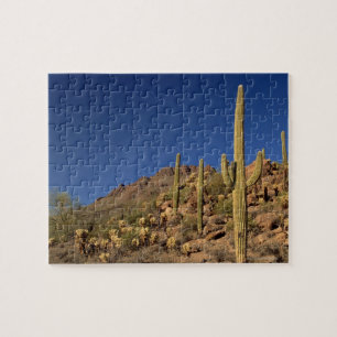 Saguaro cacti and Tucson Mountains, Tucson Jigsaw Puzzle