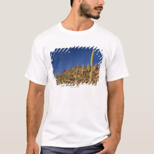 Saguaro cacti and Tucson Mountains, Tucson T-Shirt