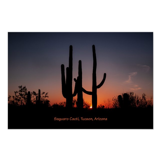 Saguaro Cacti at Sunset Poster (Front)