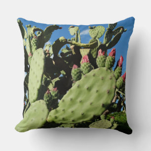 Saguaro Cacti, Cactus Plants  Cushion