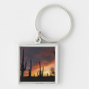 saguaro cacti, Carnegiea gigantea, after Key Ring