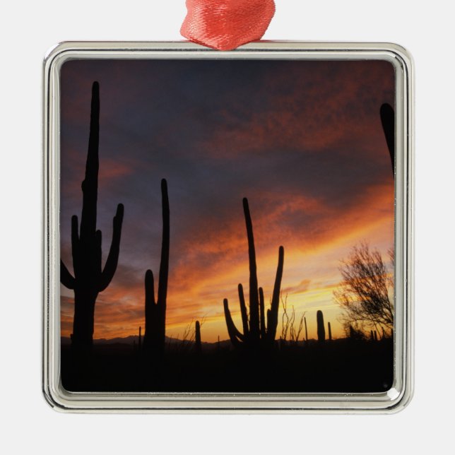 saguaro cacti, Carnegiea gigantea, after Metal Tree Decoration (Front)