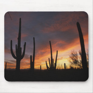 saguaro cacti, Carnegiea gigantea, after Mouse Mat