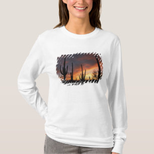 saguaro cacti, Carnegiea gigantea, after T-Shirt