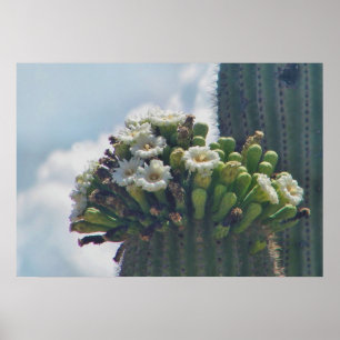 Saguaro cacti in bloom print