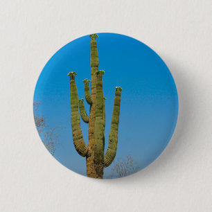 Saguaro Cactus 6 Cm Round Badge