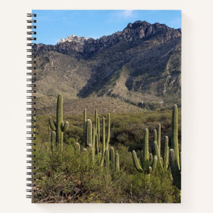 Saguaro Cactus and Catalina Mountains, Tucson AZ Notebook