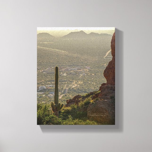 Saguaro Cactus Apache Junction & Pheonix AZ 8 x 10 Canvas Print (Front)
