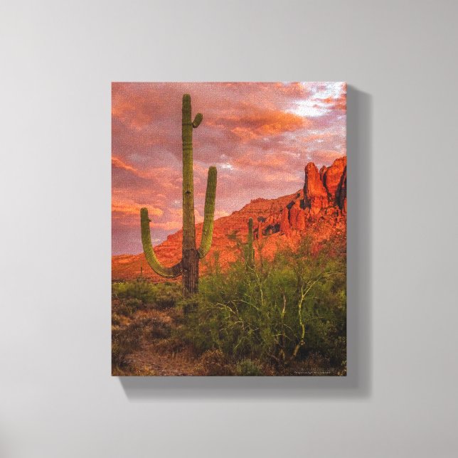 Saguaro Cactus Arizona Sunset Terracotta Red 11x14 Canvas Print (Front)