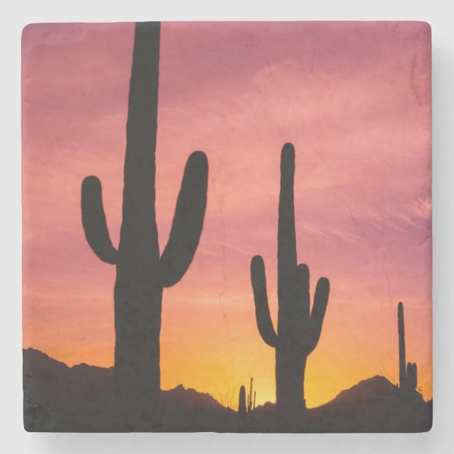 Saguaro cactus at sunrise, Arizona Stone Coaster (Front)