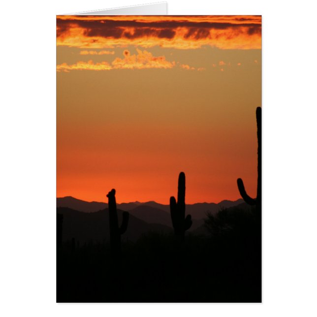Saguaro Cactus at Sunset (Front)