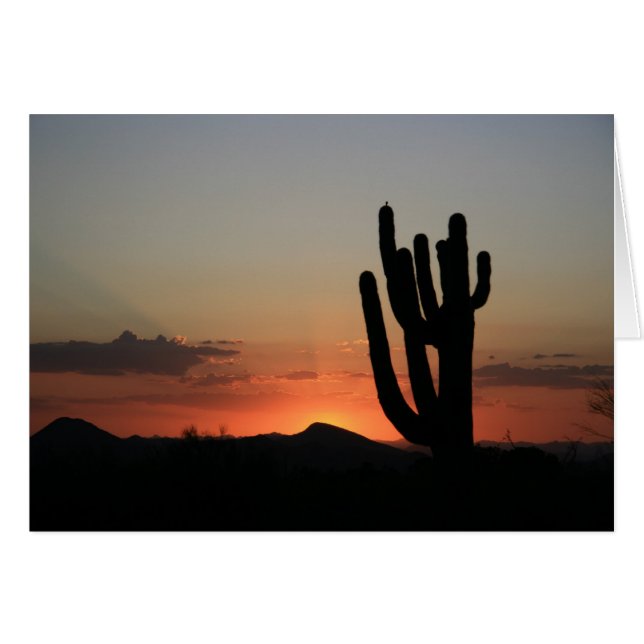 Saguaro Cactus at Sunset (Front Horizontal)