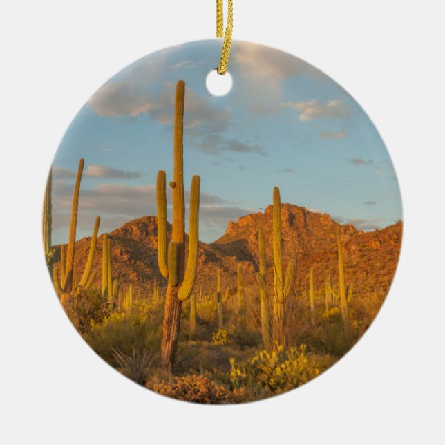 Saguaro cactus at sunset, Arizona Ceramic Tree Decoration (Front)