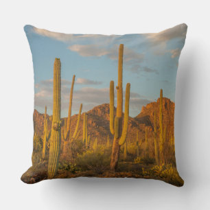 Saguaro cactus at sunset, Arizona Cushion