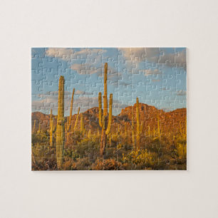 Saguaro cactus at sunset, Arizona Jigsaw Puzzle