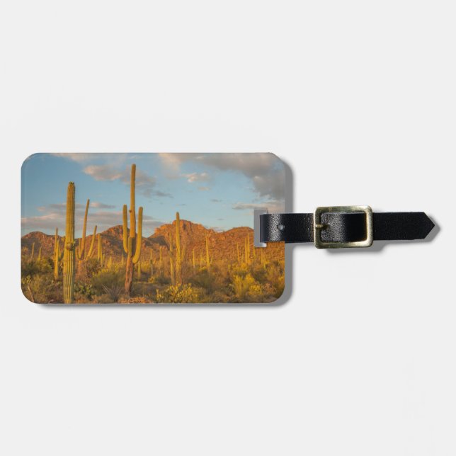 Saguaro cactus at sunset, Arizona Luggage Tag (Front Horizontal)