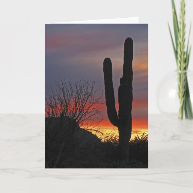 Saguaro Cactus at Sunset, Blank Greeting Card (Front)