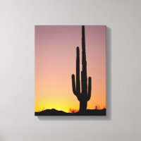 Saguaro Cactus at Sunset
