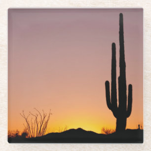 Saguaro Cactus at Sunset Glass Coaster