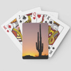 Saguaro Cactus at Sunset