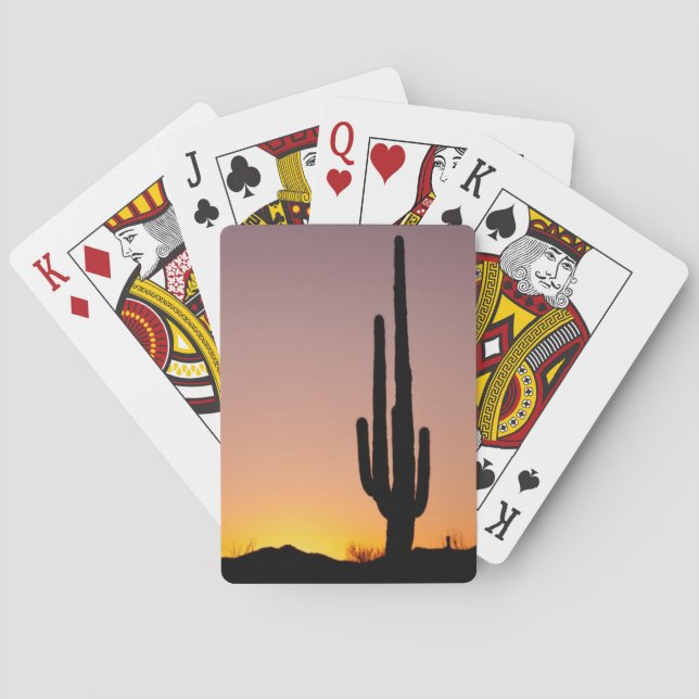 Saguaro Cactus at Sunset Playing Cards (Back)