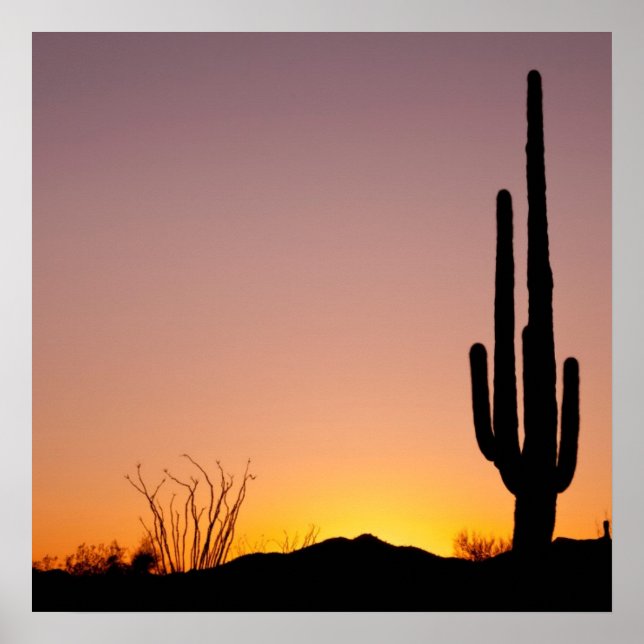 Saguaro Cactus at Sunset Poster (Front)