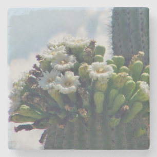 Saguaro cactus blooms stone coaster