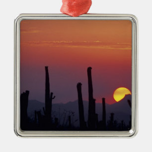Saguaro Cactus Carnegiea gigantea), Sunset, Metal Tree Decoration