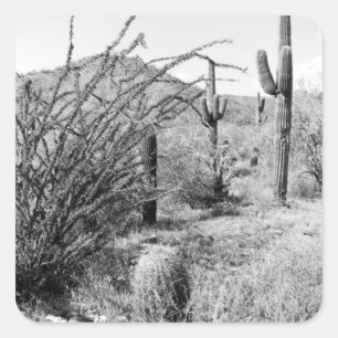 Saguaro Cactus Desert Garden Custom Sticker Decals