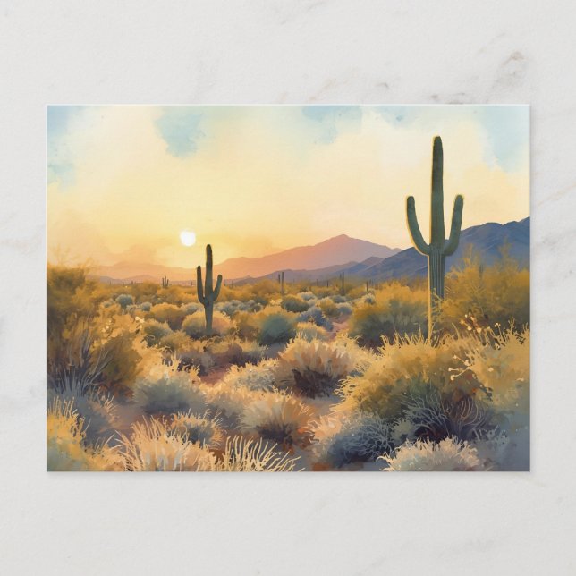 Saguaro Cactus Desert Sunset Postcard (Front)