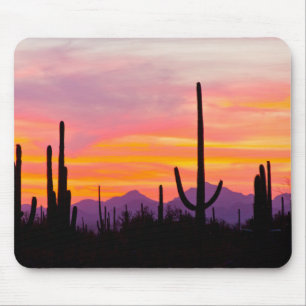 Saguaro Cactus Forest at Sunset Mouse Mat