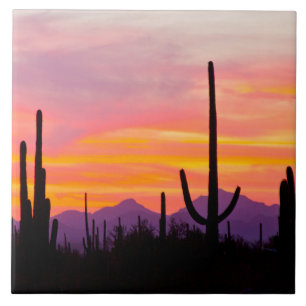 Saguaro Cactus Forest at Sunset Tile