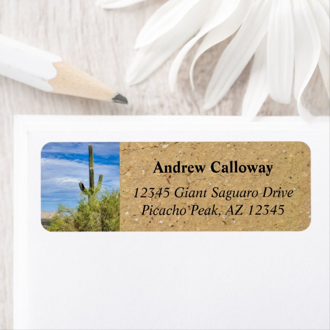 Saguaro Cactus Green Palo Verde Trees Arizona (Insitu)