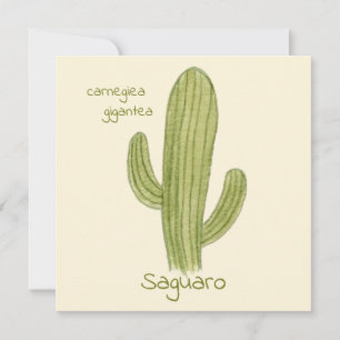 Saguaro Cactus greeting card