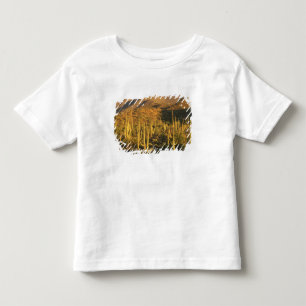 Saguaro cactus in Saguaro National Park near Toddler T-Shirt