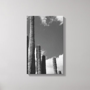 Saguaro Cactus Pipes Desert B&W Photo Art Print