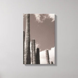 Saguaro Cactus Pipes Desert B&W Photo Art Prints