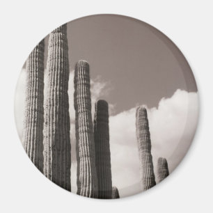 Saguaro Cactus Pipes Desert Refrigerator Magnet